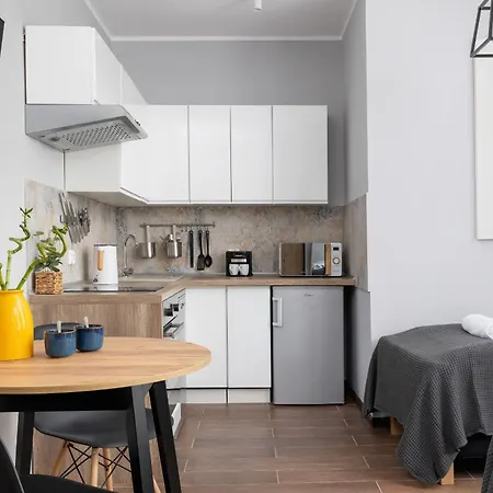 Stylowe Typu Na Parterze W Centrum Katowic Blisko Rynku By Renters