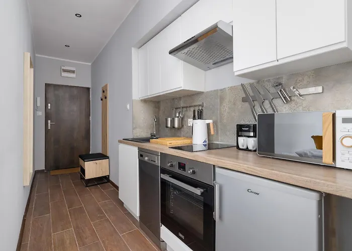 Stylowe Typu Na Parterze W Centrum Katowic Blisko Rynku By Renters * كاتوفيتسه